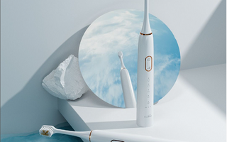 Kiwibird's Best Travel Electric Toothbrush